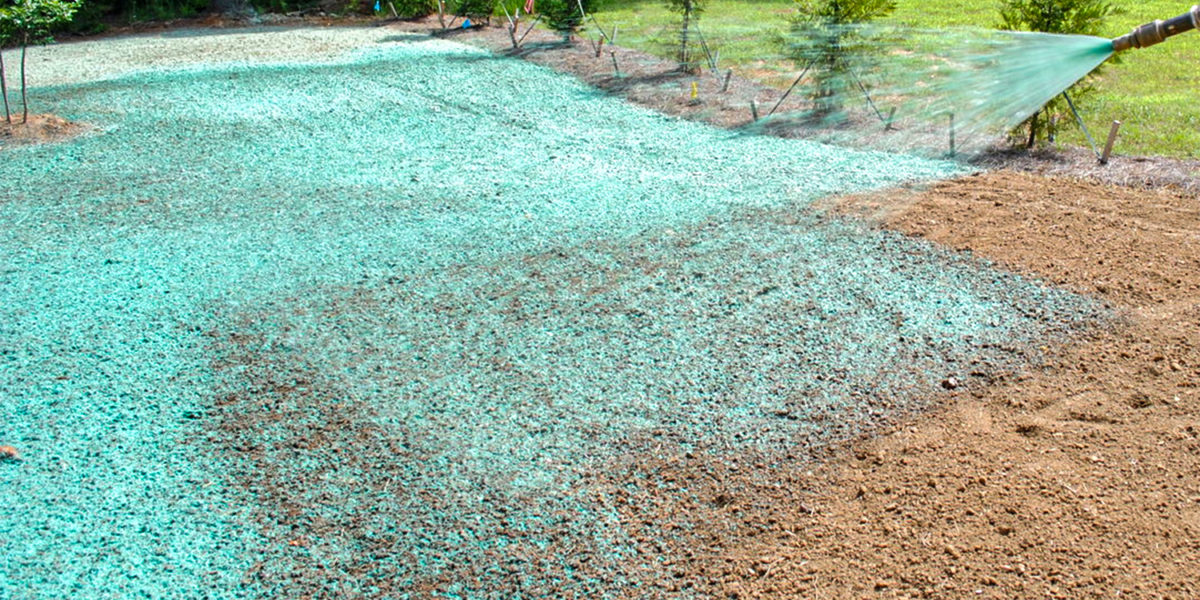 Taravella's Hydro Turf — hydroseeding application at a property in Colorado Springs, CO