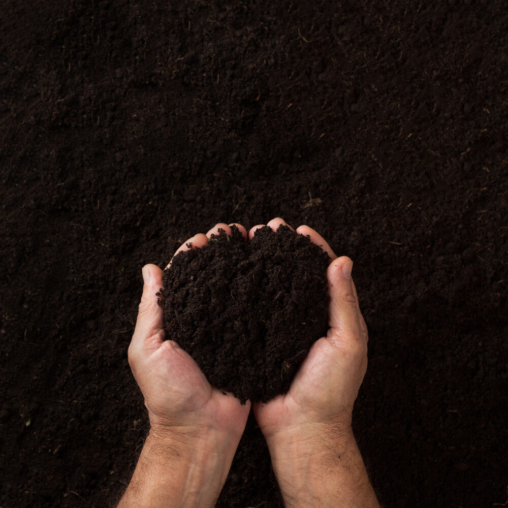 Two hands holding soil over dark texture Top view of two hands holding soil over dark texture background