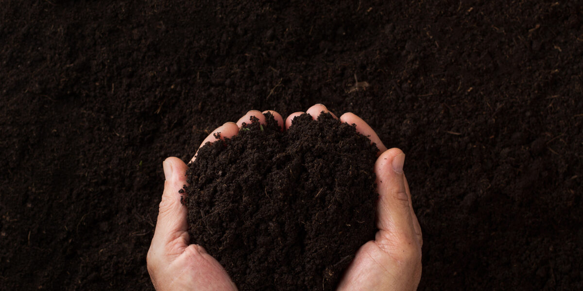 Top view of two hands holding soil over dark texture background