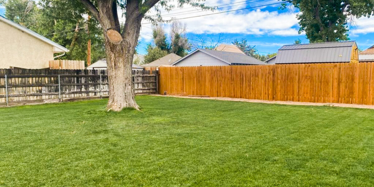 sod installation Colorado Springs, CO
