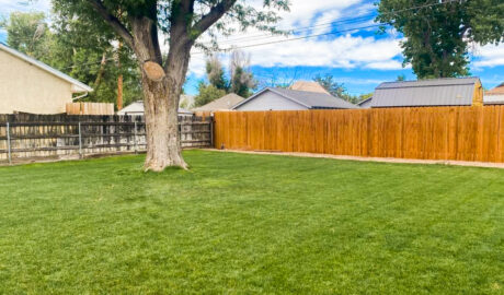 sod installation Colorado Springs, CO