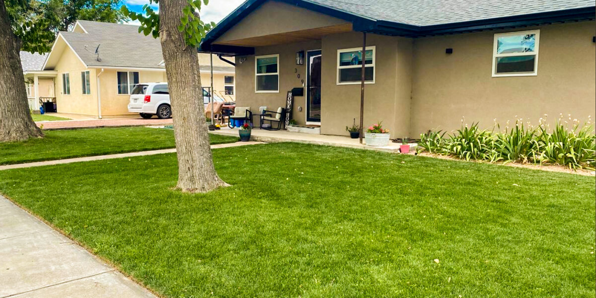 hydroseeding in Colorado Springs, CO